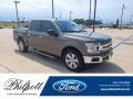 Stone Gray - F150 XLT SuperCrew 4x4 Photo No. 1