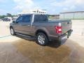 Stone Gray - F150 XLT SuperCrew 4x4 Photo No. 5