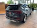 Arctic Gray Metallic - X5 xDrive40i Photo No. 2
