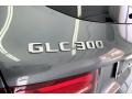 Selenite Grey Metallic - GLC 300 Photo No. 31
