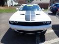 White Knuckle - Challenger R/T Photo No. 4