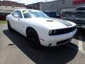 White Knuckle - Challenger R/T Photo No. 7