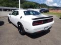 White Knuckle - Challenger R/T Photo No. 8