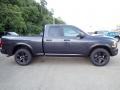 Maximum Steel Metallic - 1500 Classic Quad Cab 4x4 Photo No. 6