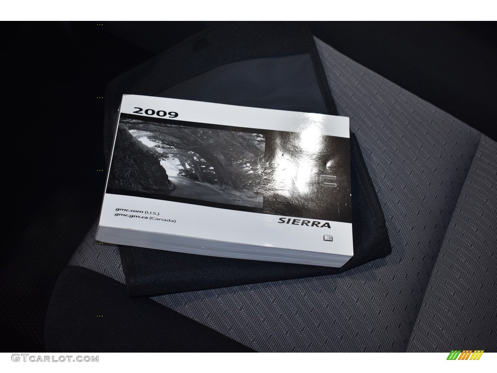 2009 Sierra 1500 Work Truck Regular Cab 4x4 - Steel Gray Metallic / Dark Titanium photo #15