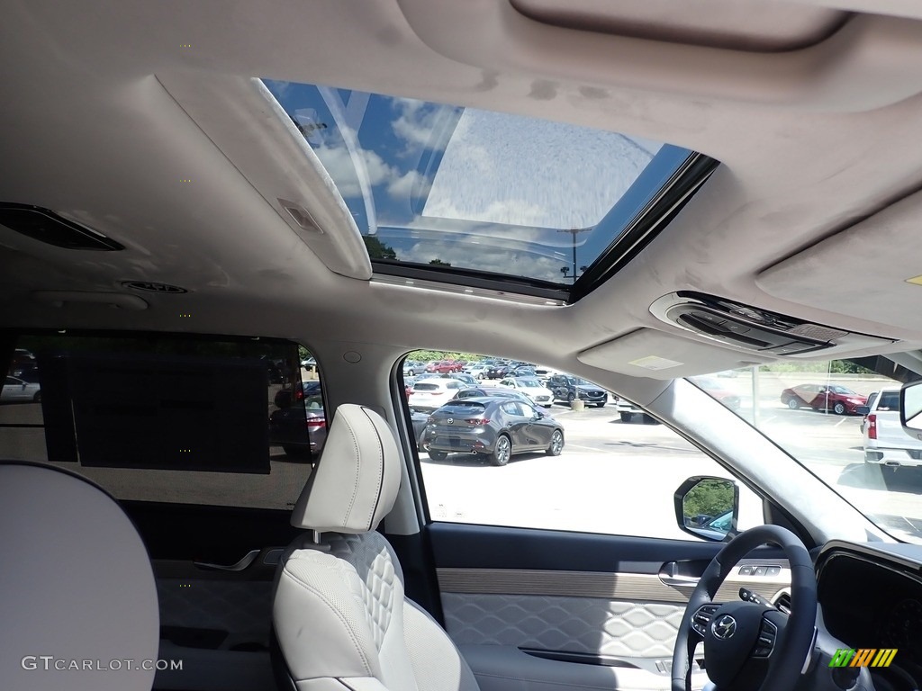 2022 Hyundai Palisade Calligraphy AWD Sunroof Photos
