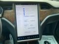 2020 Tesla Model X Performance Controls