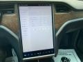 2020 Tesla Model X Performance Controls