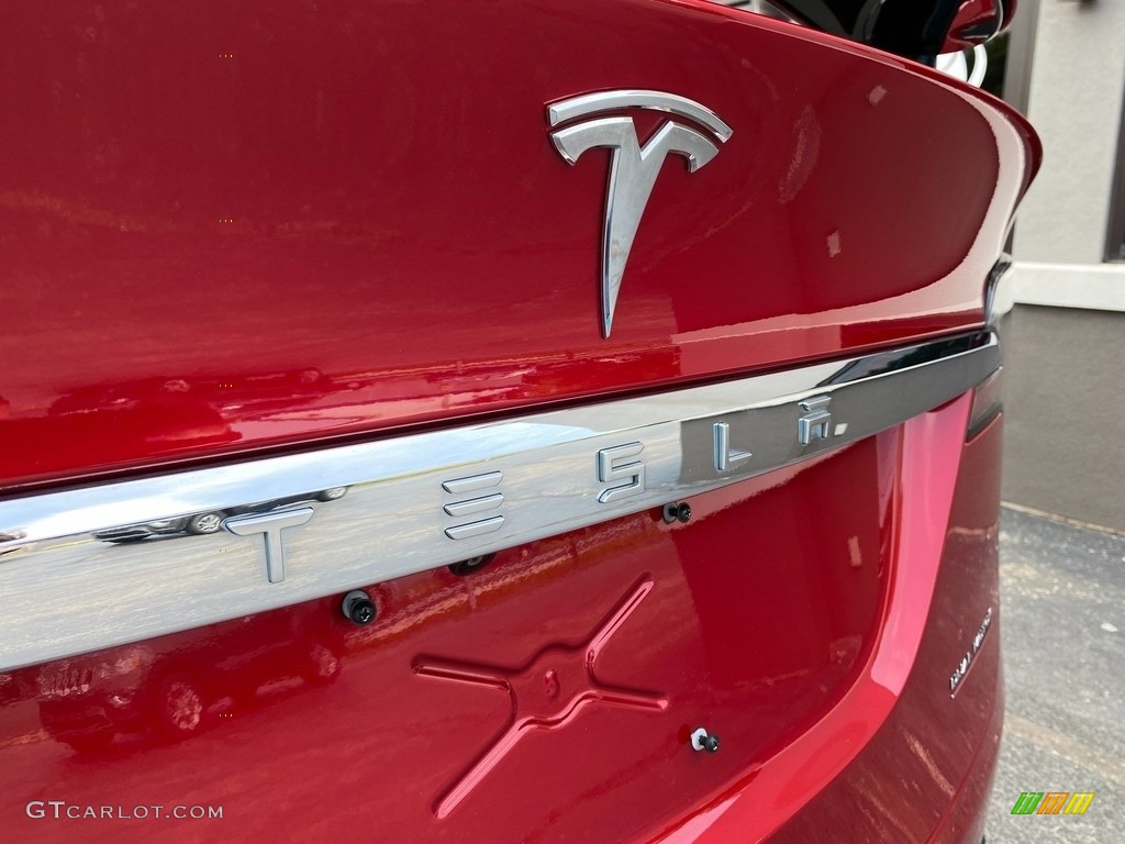 2020 Tesla Model X Performance Marks and Logos Photo #142629521