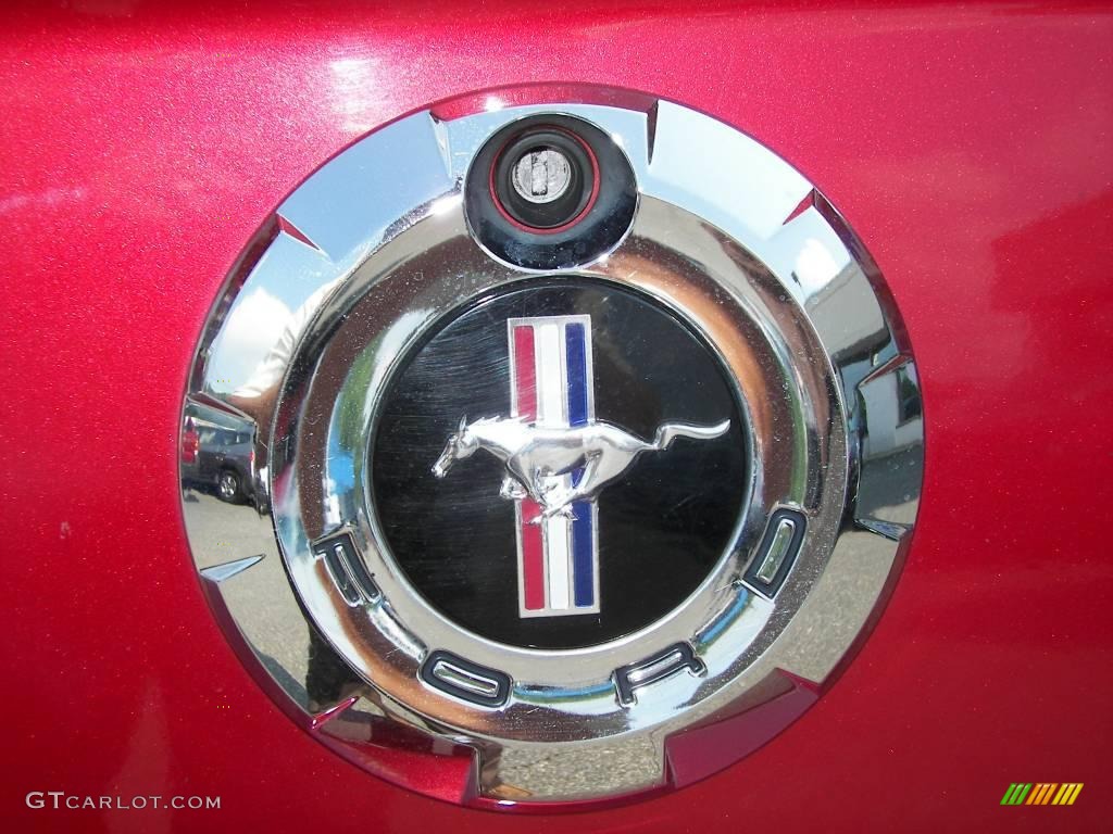 2005 Mustang V6 Deluxe Convertible - Redfire Metallic / Light Graphite photo #18