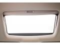 2022 Honda Odyssey Mocha Interior Sunroof Photo