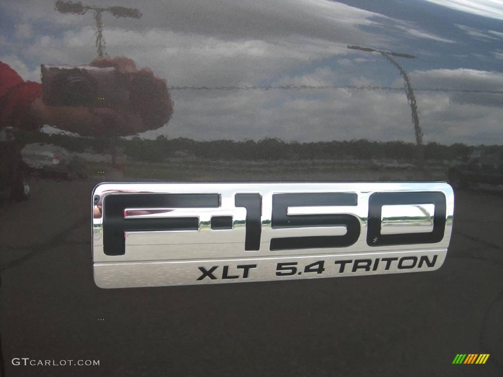 2006 F150 XLT SuperCab 4x4 - Dark Shadow Grey Metallic / Medium/Dark Flint photo #20