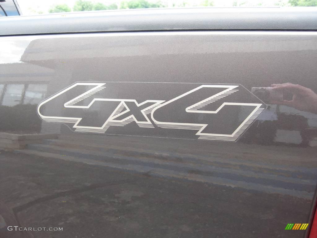 2006 F150 XLT SuperCab 4x4 - Dark Shadow Grey Metallic / Medium/Dark Flint photo #24
