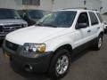 2007 Oxford White Ford Escape XLT V6 4WD  photo #1