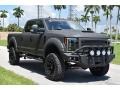 Agate Black - F250 Super Duty XLT Crew Cab 4x4 Photo No. 7