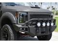 Agate Black - F250 Super Duty XLT Crew Cab 4x4 Photo No. 8