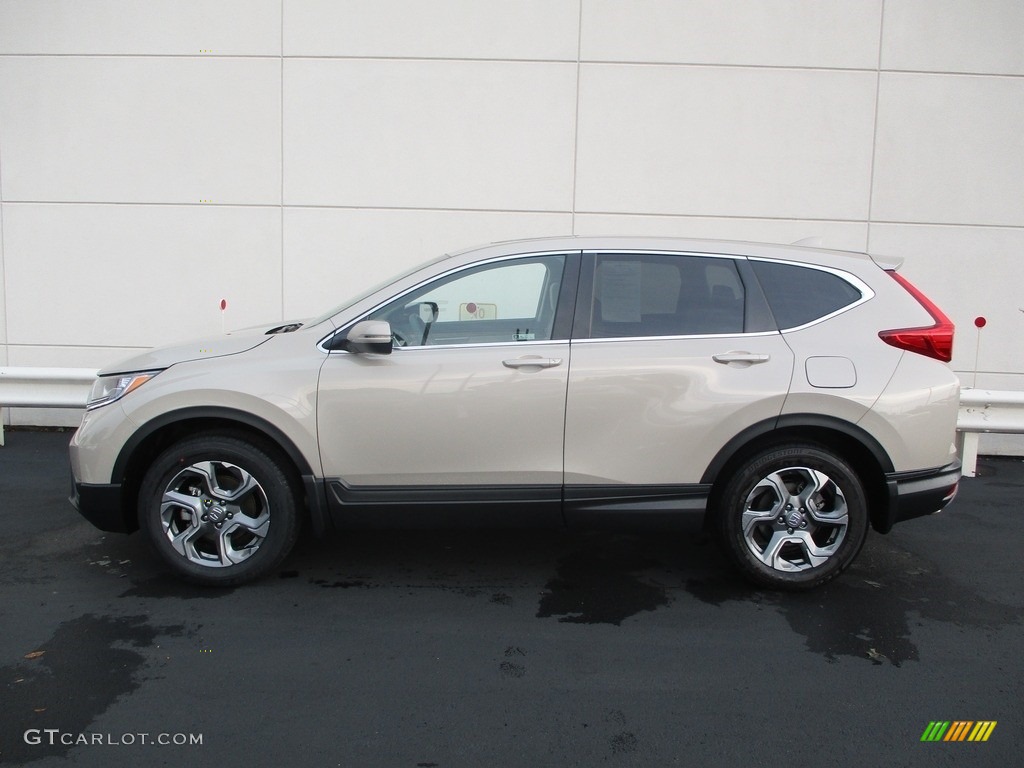 2019 CR-V EX AWD - Sandstorm Metallic / Ivory photo #2
