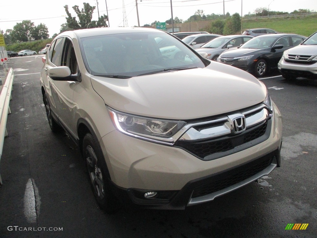 2019 CR-V EX AWD - Sandstorm Metallic / Ivory photo #8