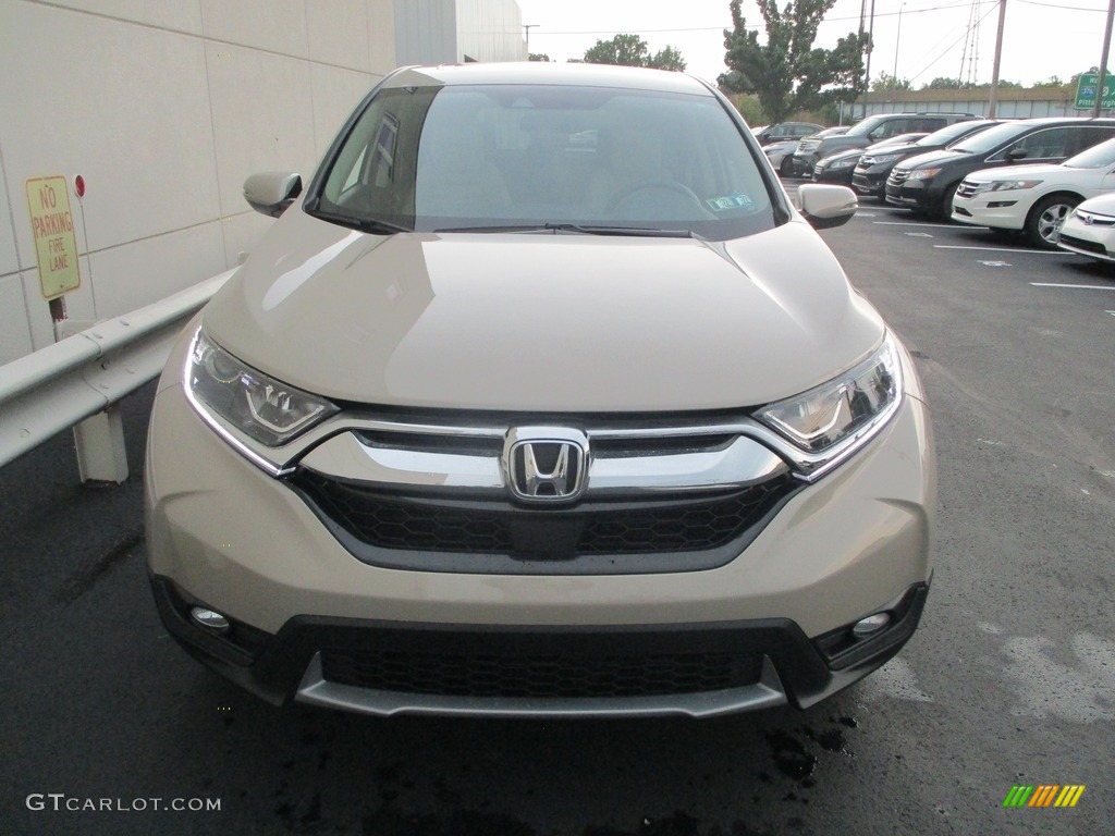 2019 CR-V EX AWD - Sandstorm Metallic / Ivory photo #9