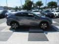 Nebula Gray Pearl - NX 300 AWD Photo No. 3
