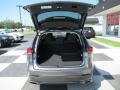 Nebula Gray Pearl - NX 300 AWD Photo No. 5