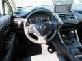 Nebula Gray Pearl - NX 300 AWD Photo No. 15