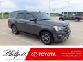 Magnetic 2020 Ford Expedition XLT