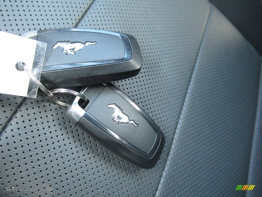2021 Ford Mustang GT Premium Fastback Keys Photo #142685898