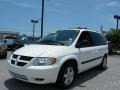 Stone White - Caravan SXT Photo No. 1