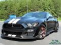 Shadow Black 2021 Ford Mustang Shelby GT500