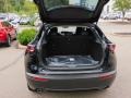 Jet Black Mica - CX-30 Preferred AWD Photo No. 4