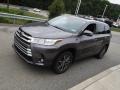 Predawn Gray Mica - Highlander XLE AWD Photo No. 10