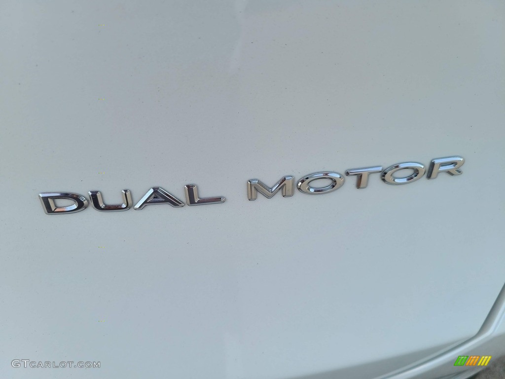 2021 Tesla Model Y Long Range AWD Marks and Logos Photo #142706615
