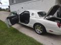 Whisper White - Thunderbird Deluxe Roadster Photo No. 3
