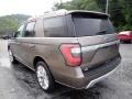 Stone Gray - Expedition Platinum 4x4 Photo No. 5