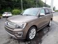 D1 - Stone Gray Ford Expedition (2018)