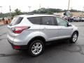 Ingot Silver - Escape SE 4WD Photo No. 9