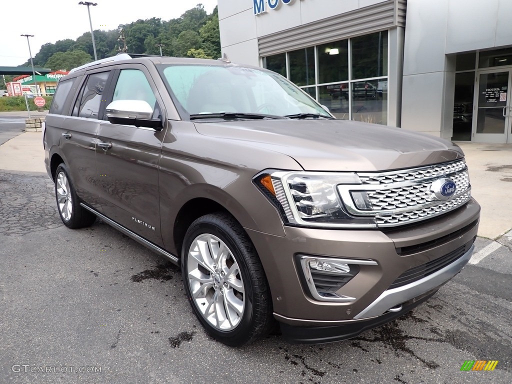 Stone Gray 2018 Ford Expedition Platinum 4x4 Exterior Photo #142710737