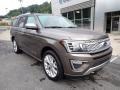 Stone Gray 2018 Ford Expedition Platinum 4x4 Exterior