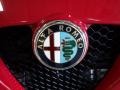 2015 Alfa Romeo 4C Launch Edition Coupe Badge and Logo Photo