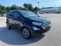 Shadow Black - EcoSport Titanium Photo No. 8