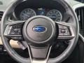 Slate Black Steering Wheel Photo for 2021 Subaru Ascent #142731074