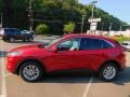 Rapid Red Metallic - Escape SE 4WD Photo No. 6