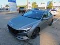Gray - Elantra SEL Photo No. 7