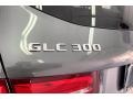 Selenite Grey Metallic - GLC 300 Photo No. 31