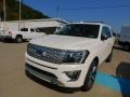 Star White - Expedition Platinum 4x4 Photo No. 6