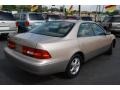 Cashmere Beige Metallic - ES 300 Photo No. 4