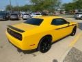 YellowJacket - Challenger R/T Photo No. 2