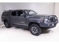 Magnetic Gray Metallic 2019 Toyota Tacoma TRD Off-Road Double Cab 4x4