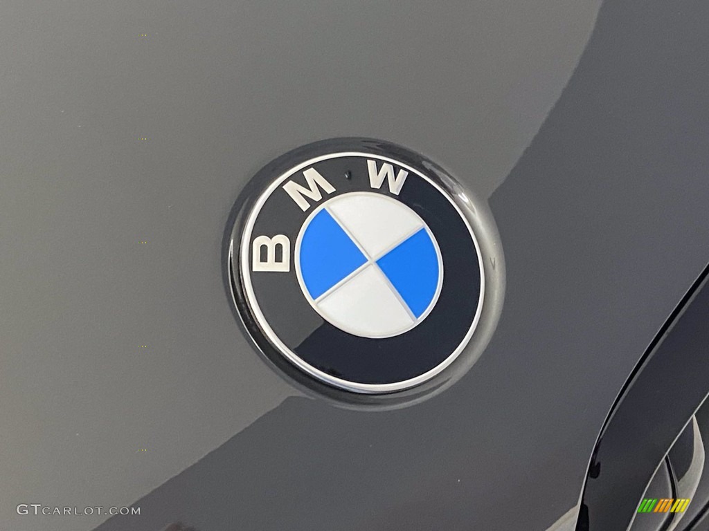 2022 BMW X6 M50i Marks and Logos Photo #142764978